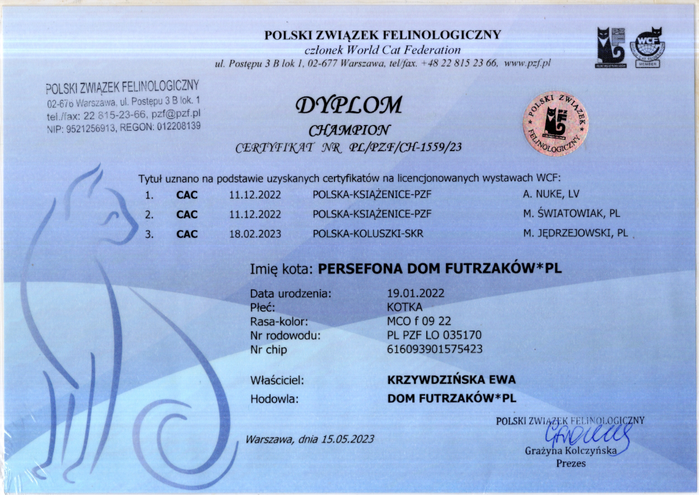 Persefona Dom Futrzaków*PL